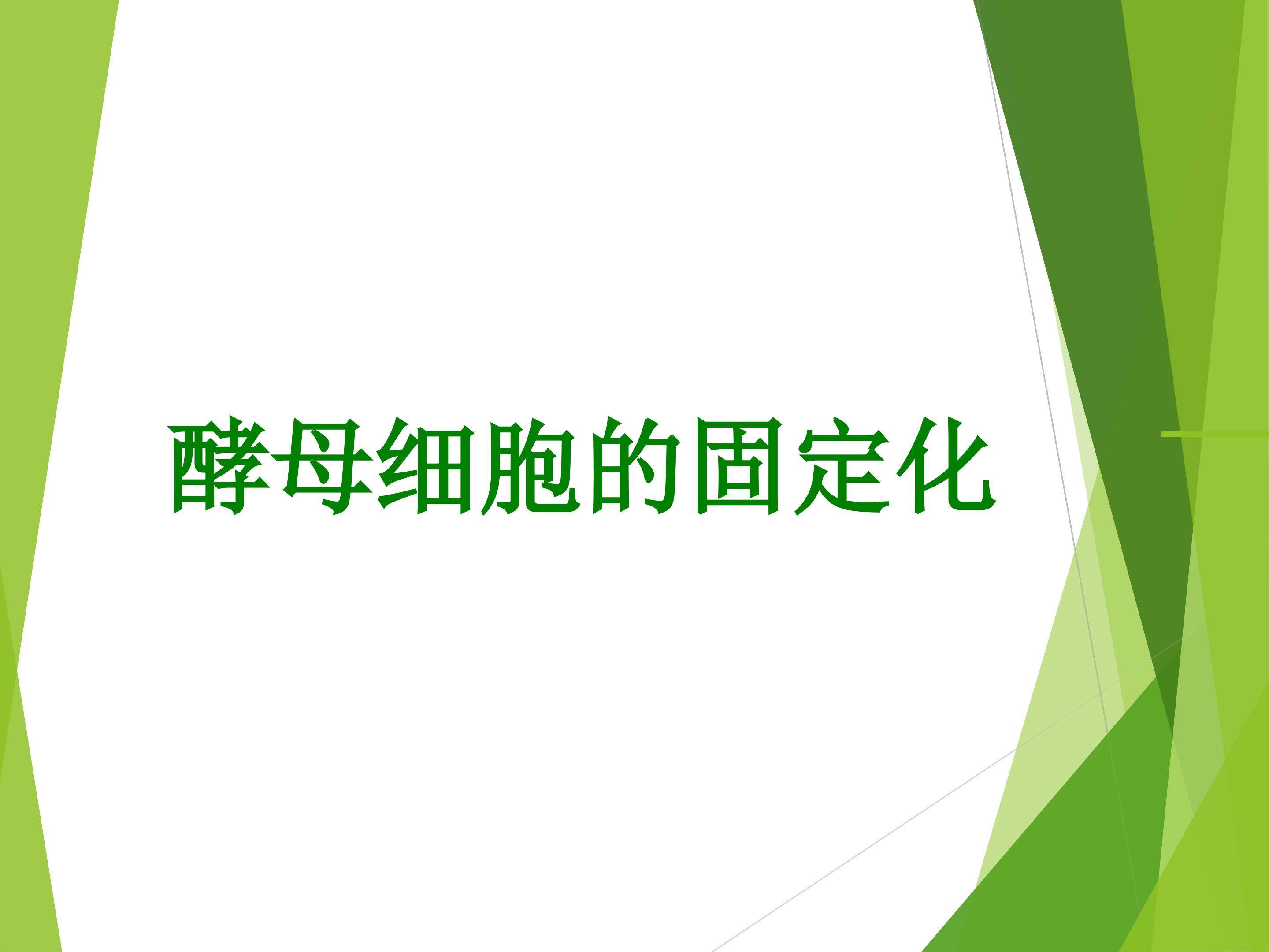 酵母细胞的固定化_课件1