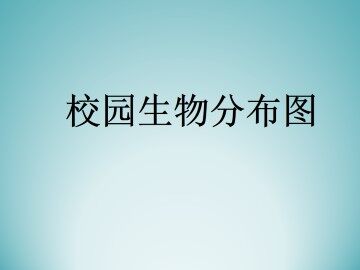 校园生物分布图_课件1