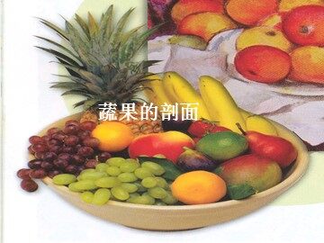 蔬果的剖面_课件1