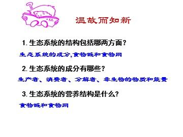 生物高中必修3第五章第二节课件2
