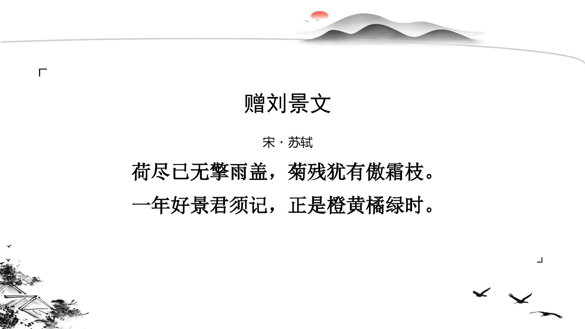 45.jpg