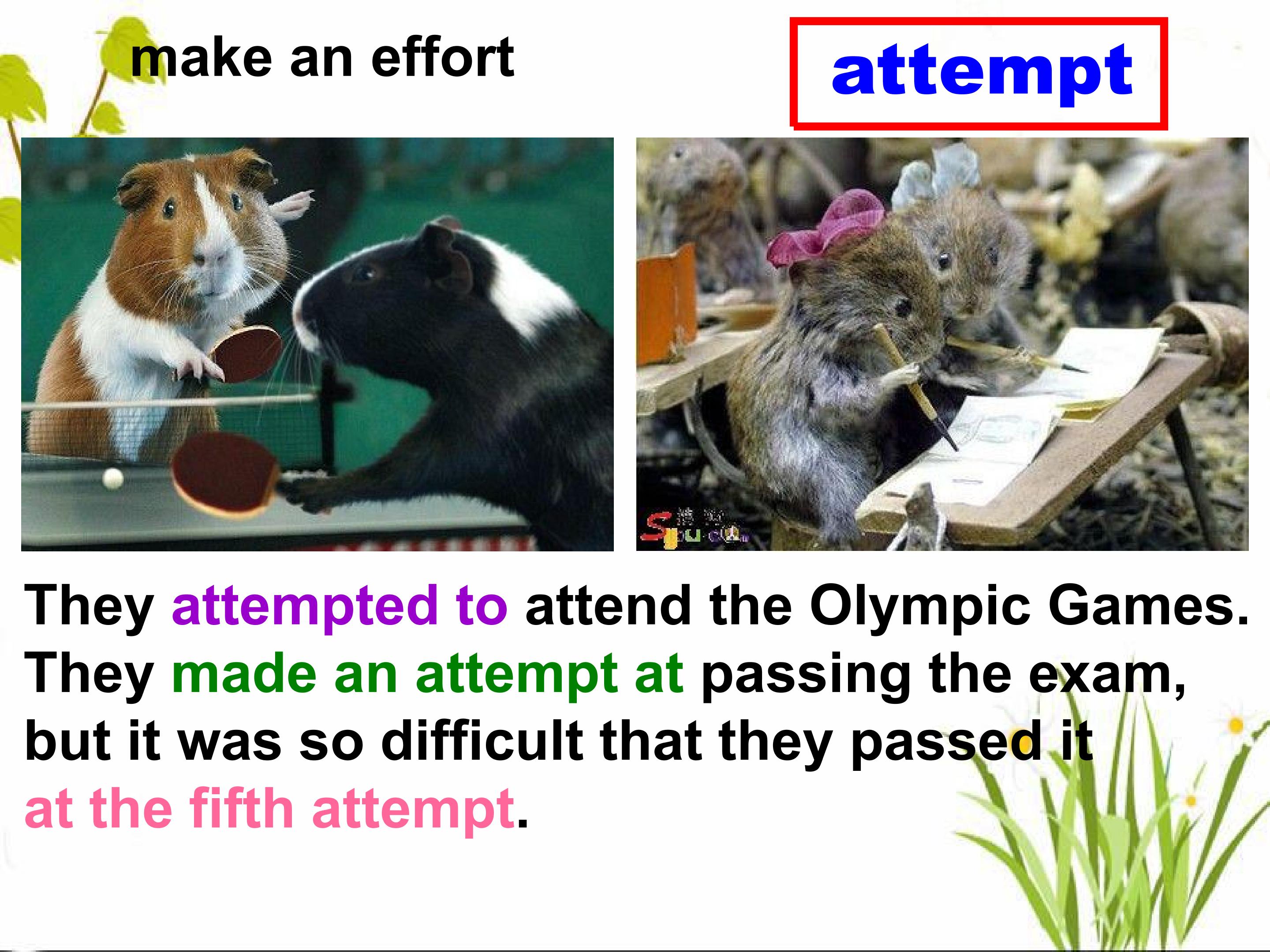46.jpg