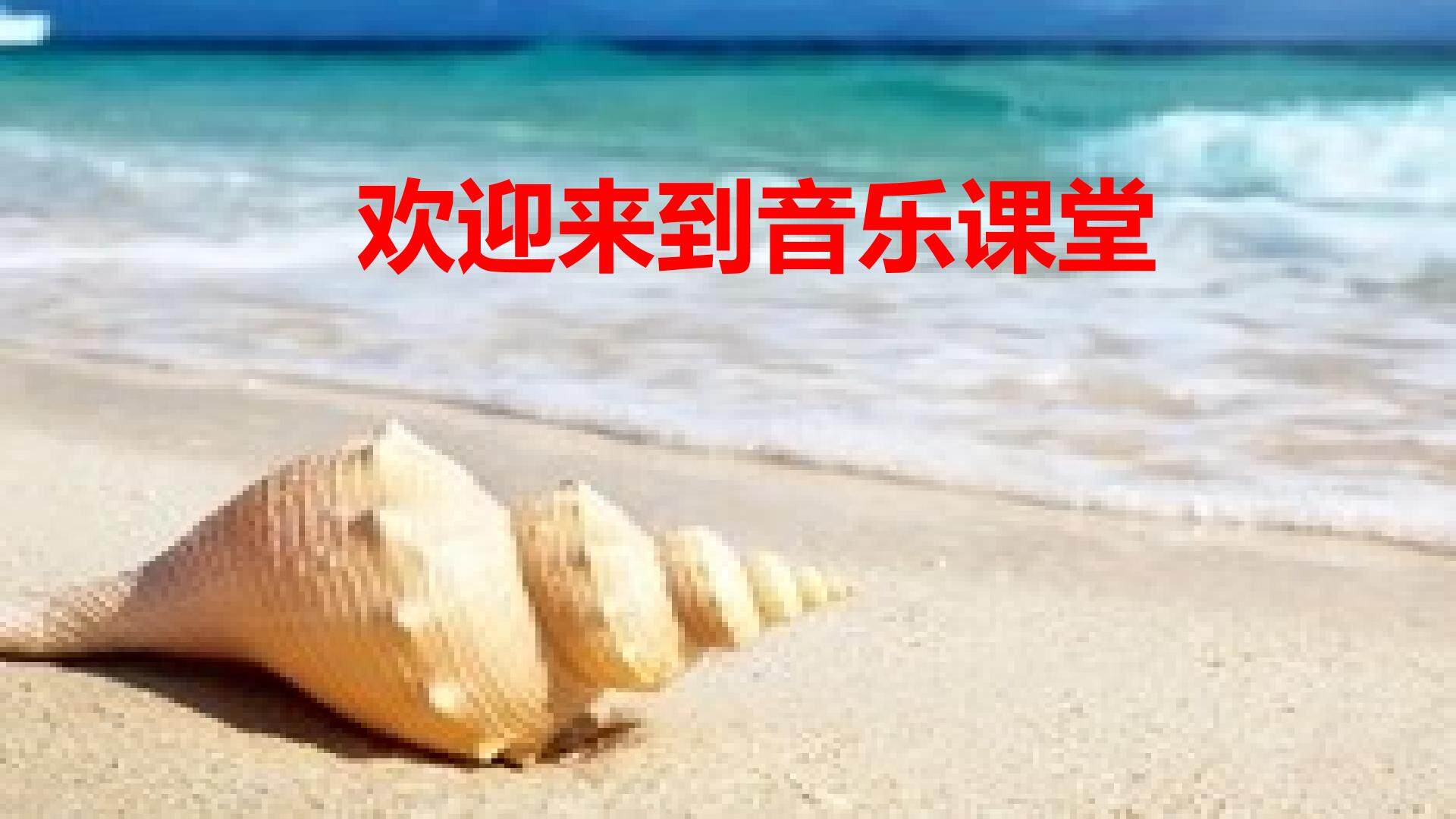 贝壳之歌