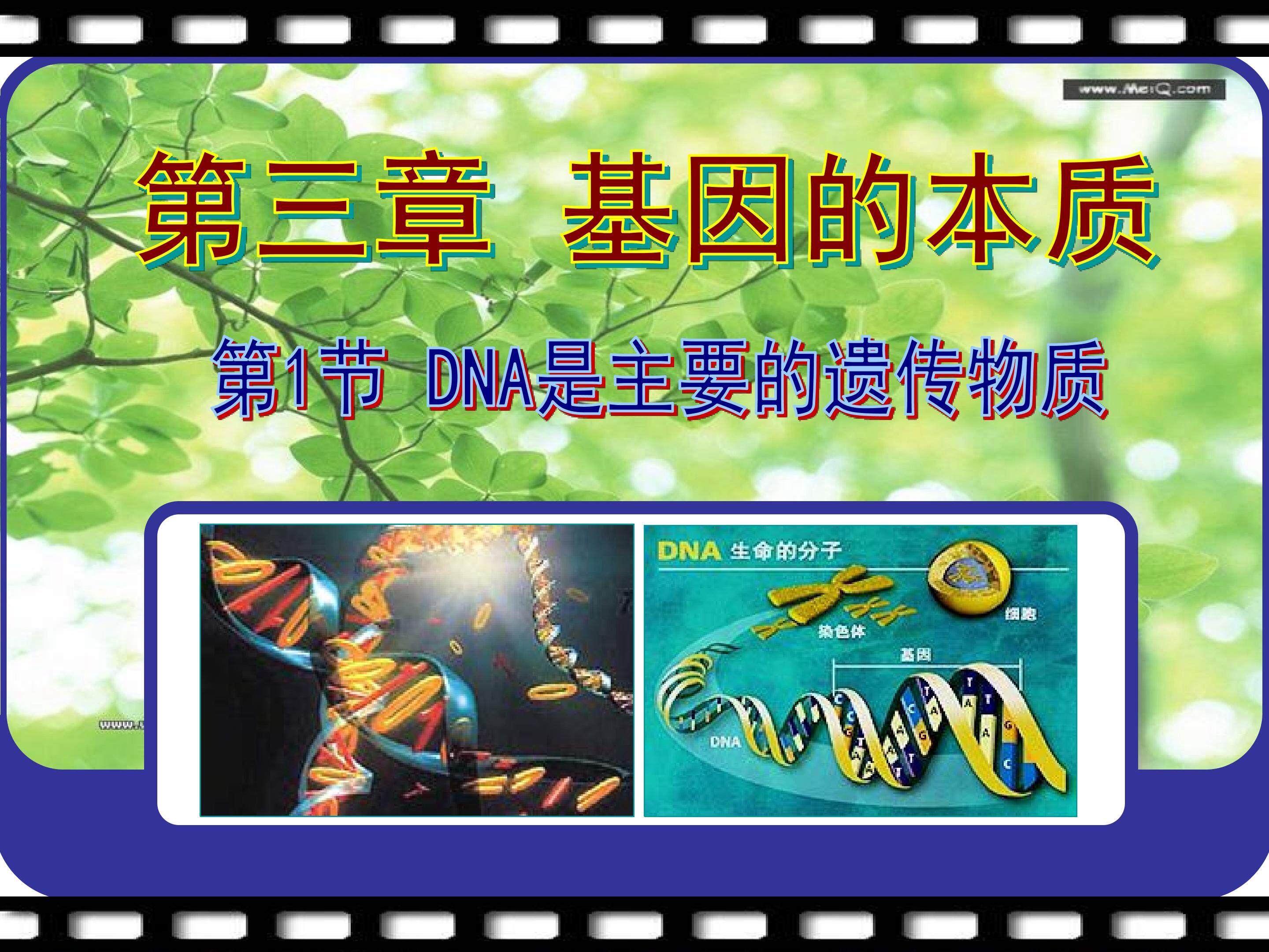 DNA是主要的遗传物质