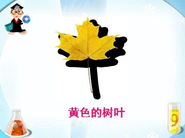 19 蓝色的树叶 