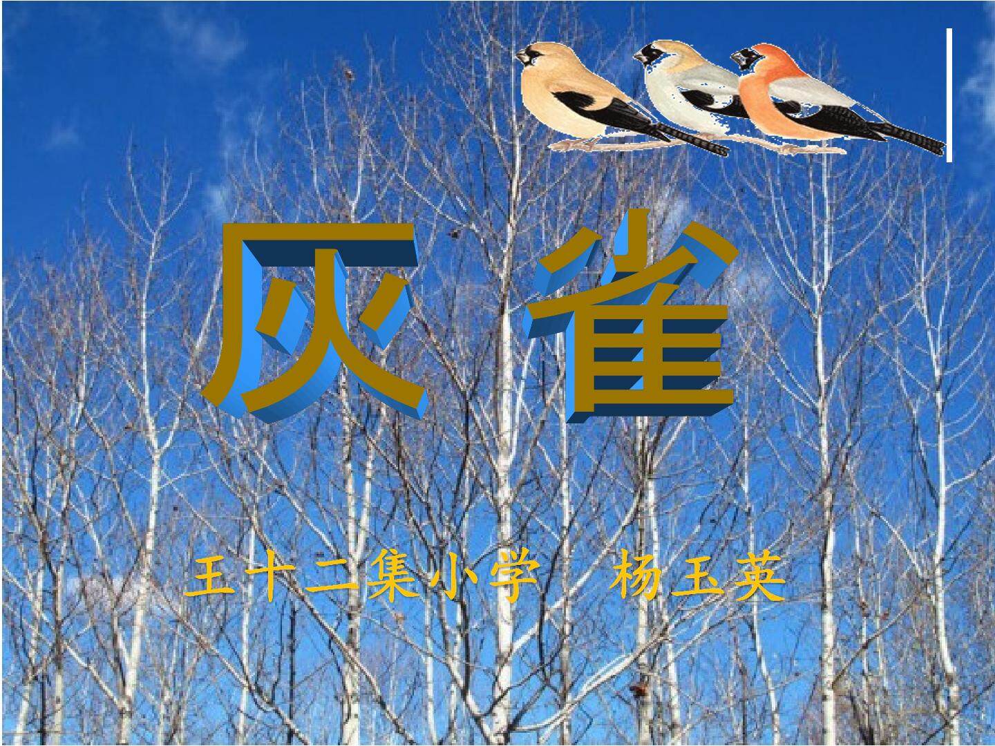 灰雀