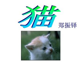 猫_课件5