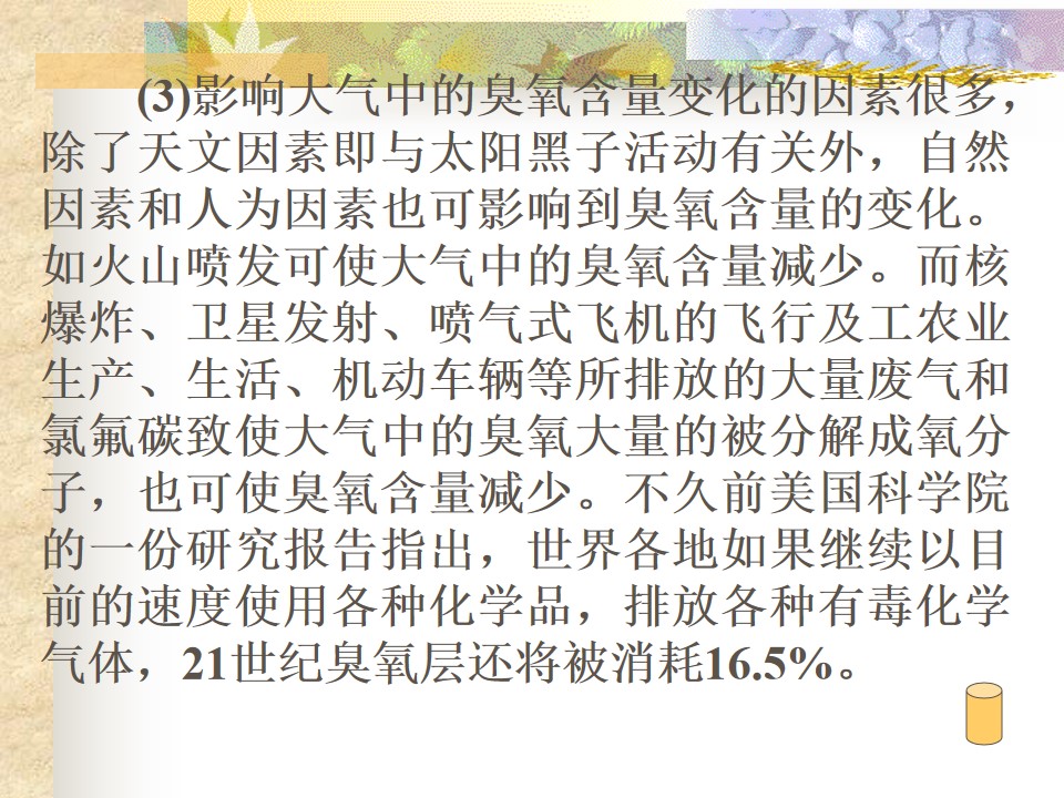 113.jpg