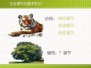 第3章第1节、植物生长素的发现
