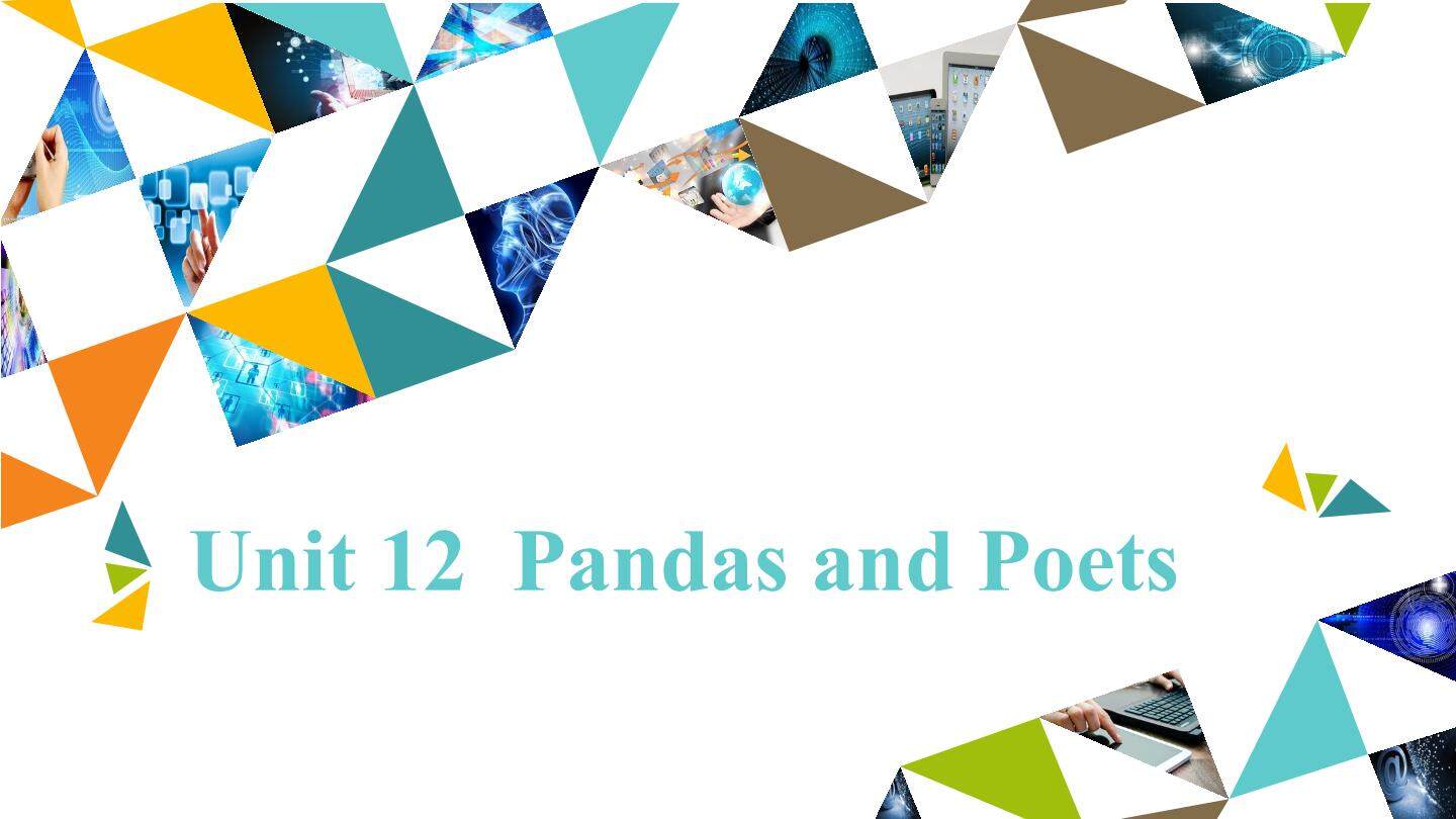 Unit 12  Pandas and Poets_课件1