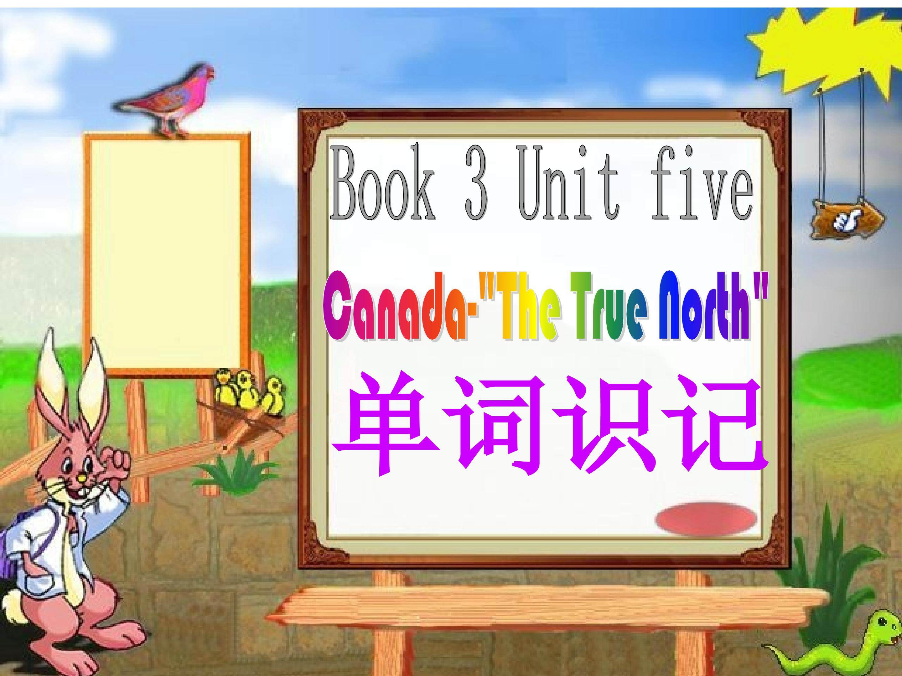 必修3 unit 5 Canada The True North