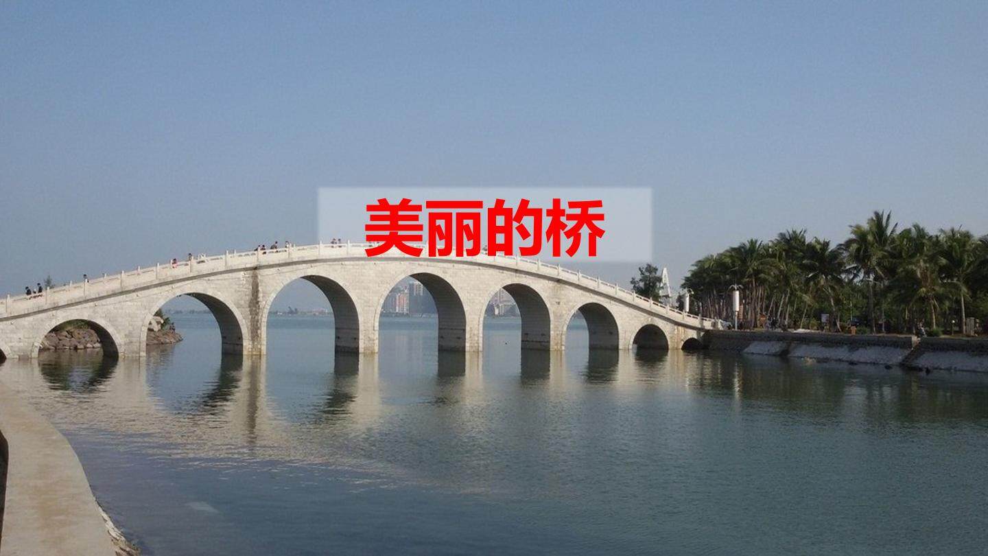 美丽的桥
