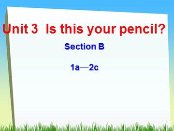 Section B