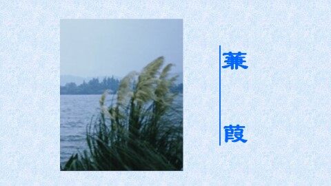 兼葭_课件1