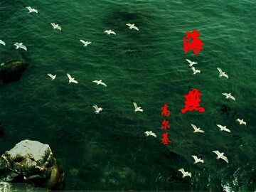 海燕_课件16