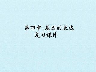第4章  基因的表达 复习课件