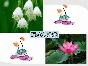 写生与变化_课件1