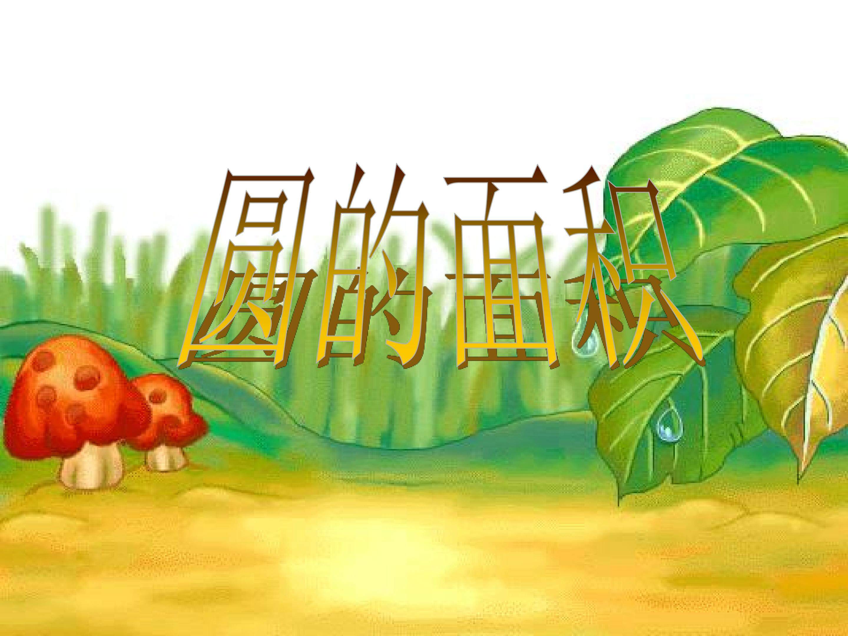 圆的面积