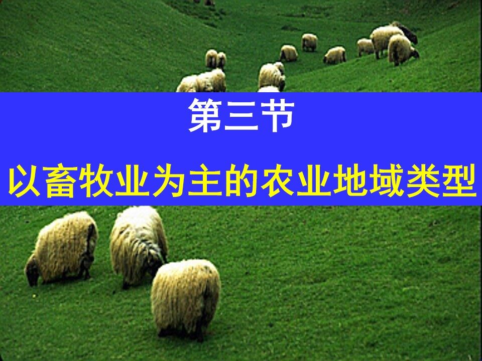 以畜牧业为主的农业地域类型