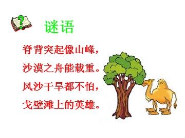 16* 找骆驼