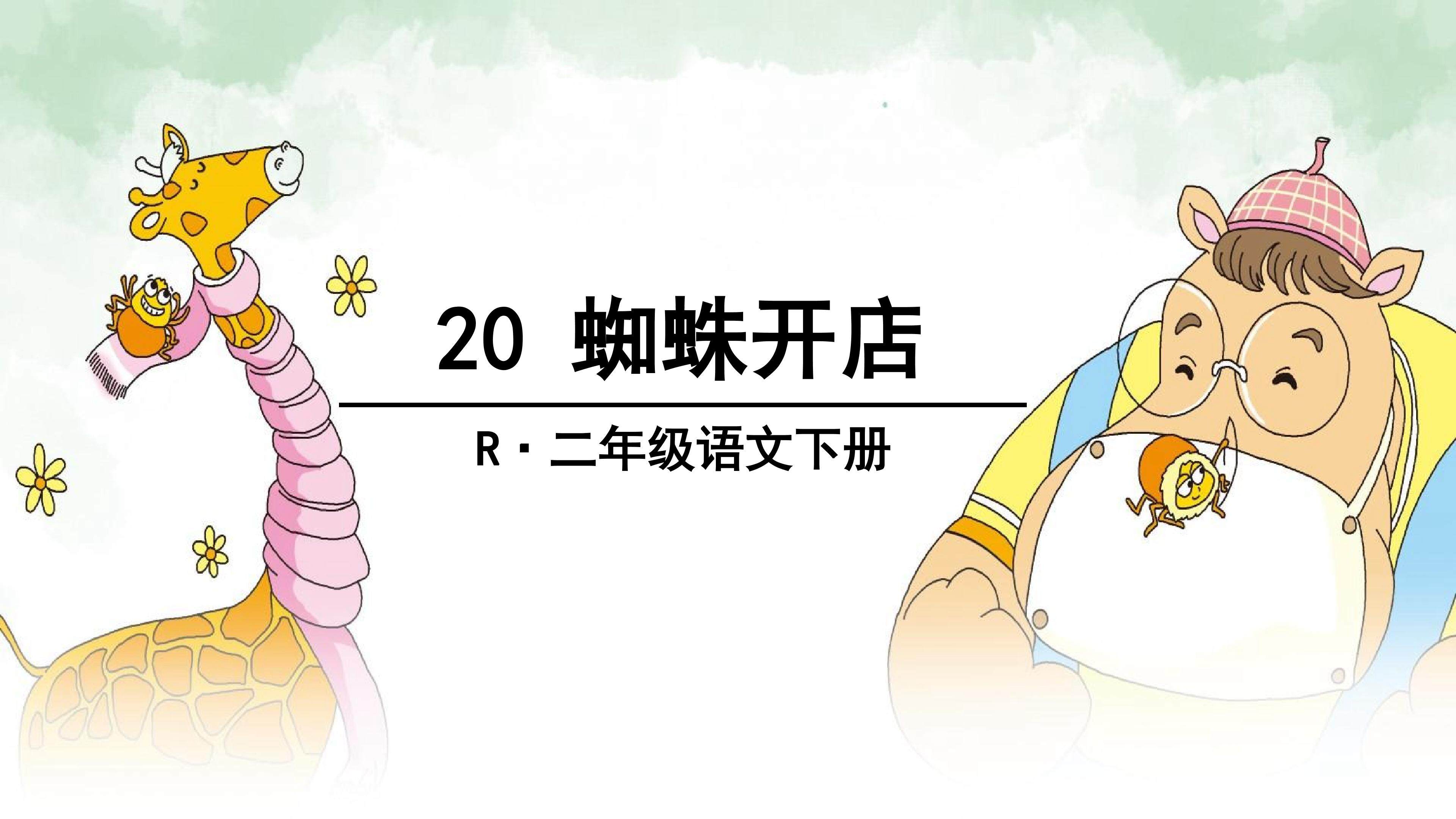 蜘蛛开店