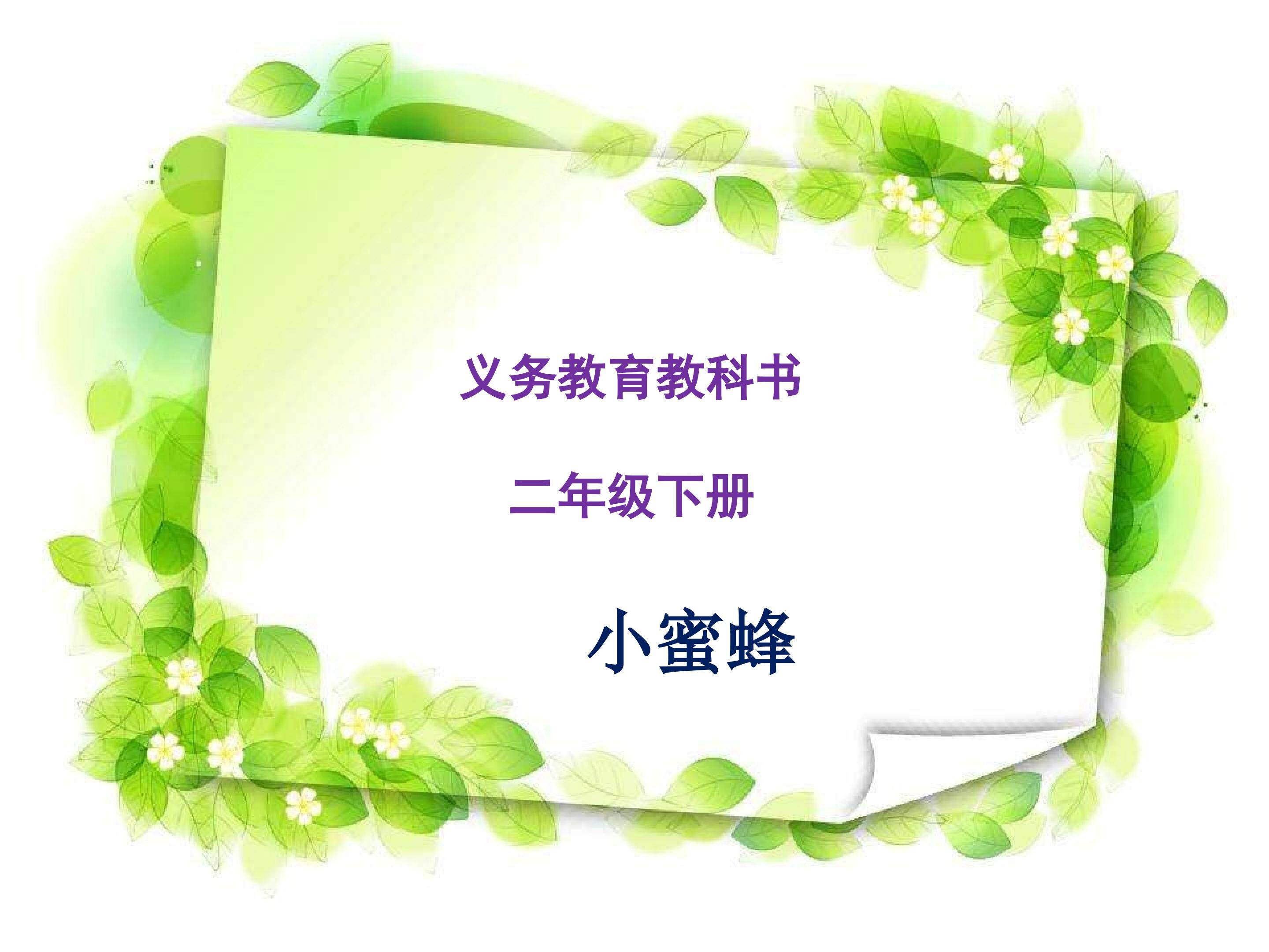 小蜜蜂