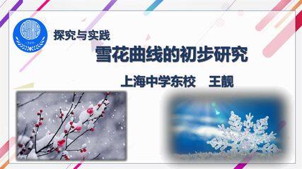 雪花曲线的初步研究
