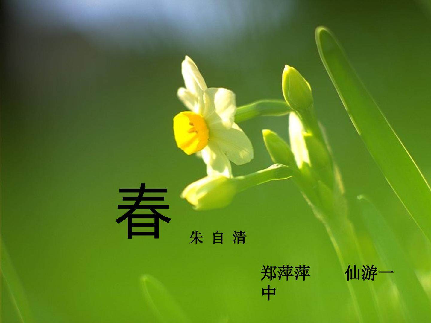 《春》的课件