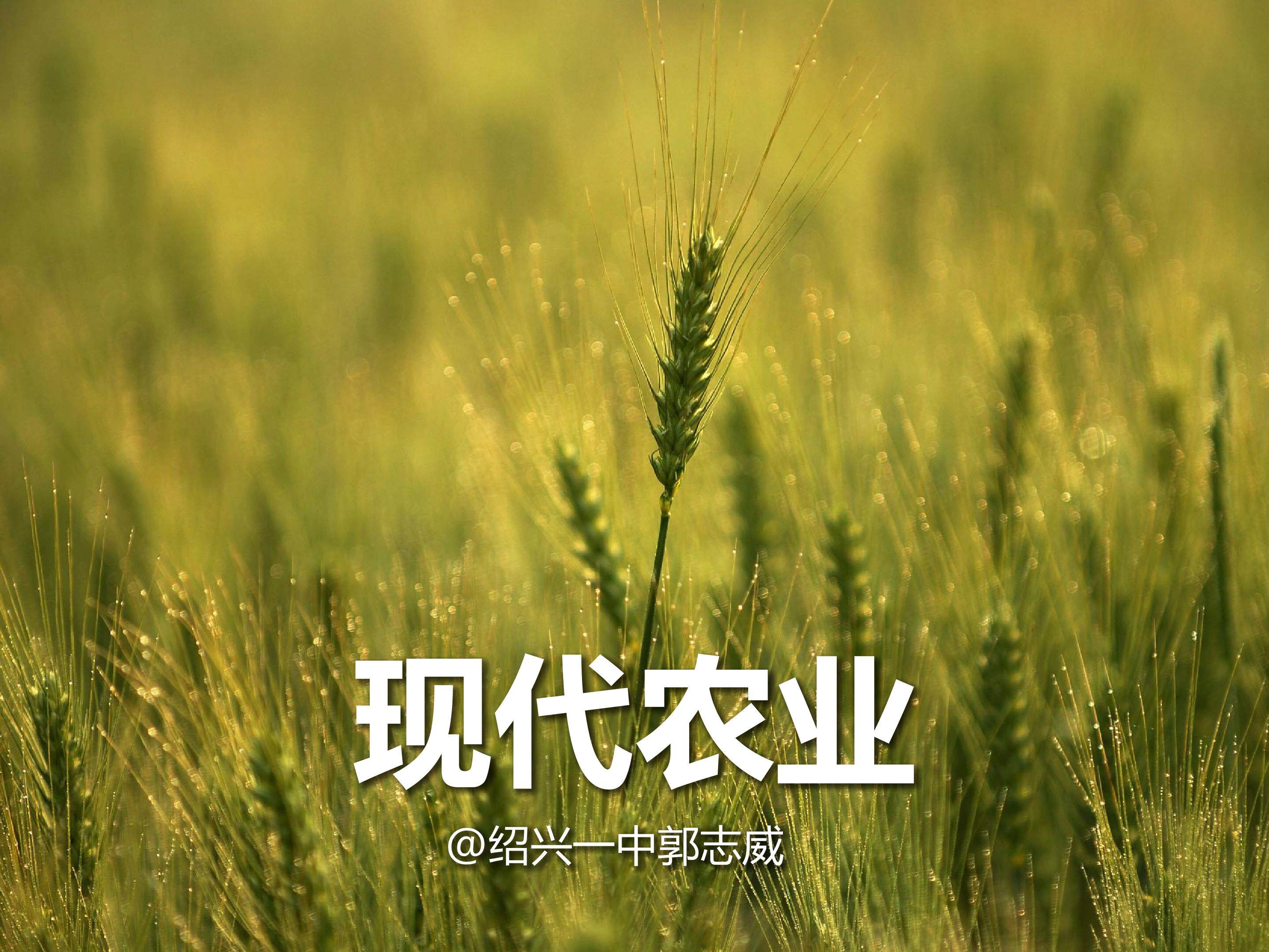 从石油农业到生态农业