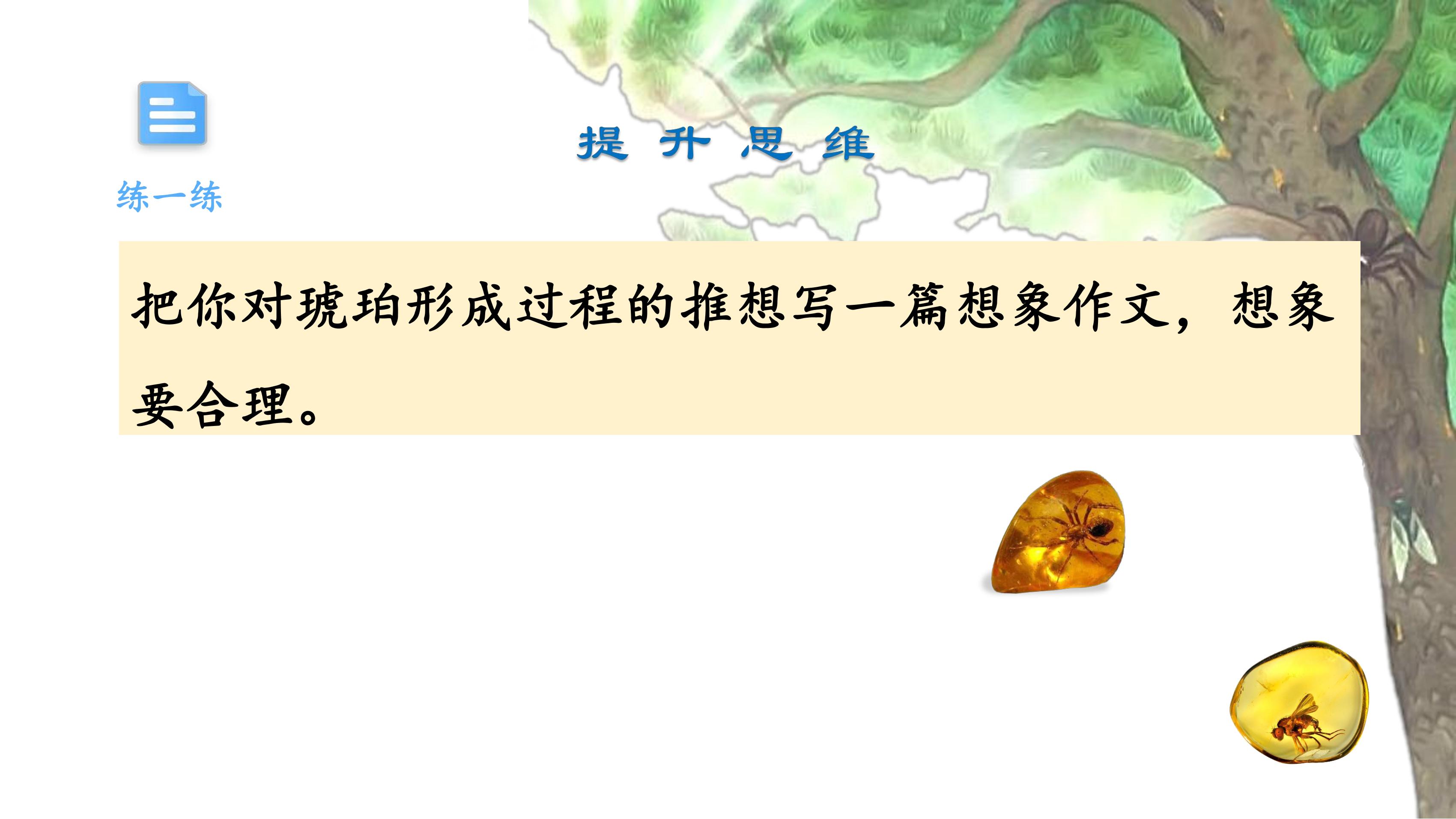 47.jpg