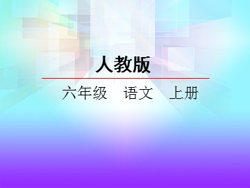 21 老人与海鸥 