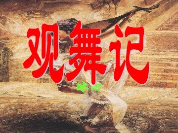 观舞记_课件13