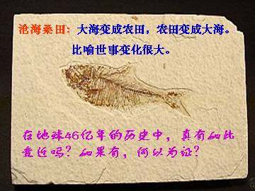 化石吟_课件15