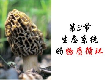 生物高中必修3第五章第三节第一课时课件