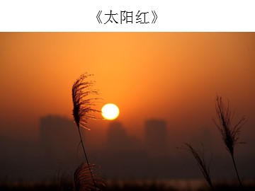 《太阳红》_课件1