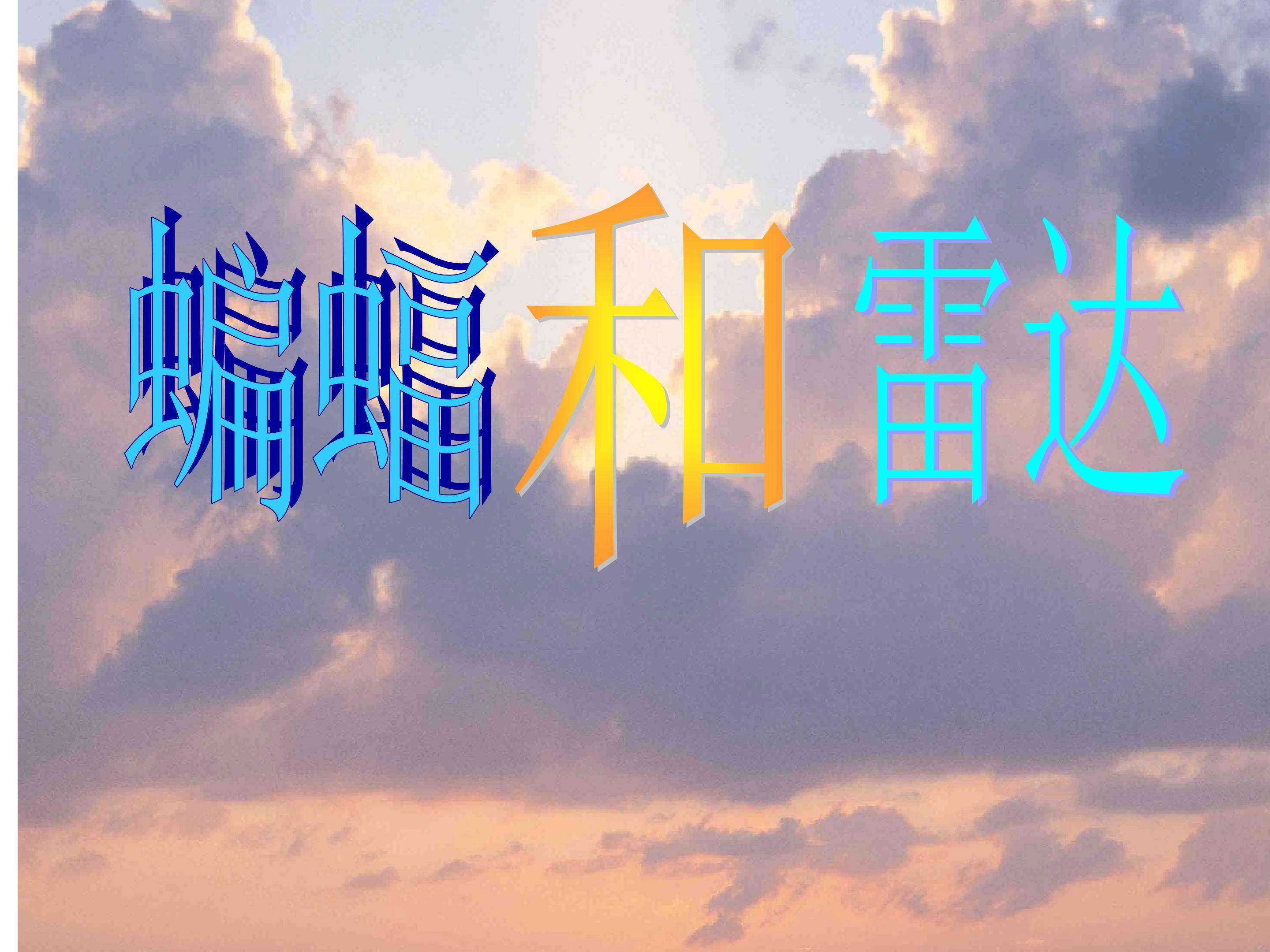 蝙蝠和雷达