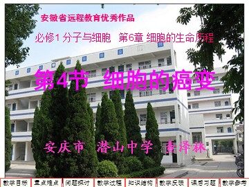 生物高中必修1第六章第四节课件1