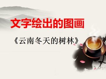 云南冬天的树林_课件2