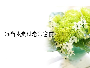 每当我走过老师窗前_课件1