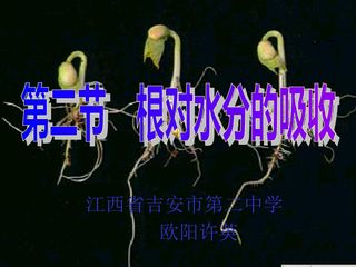 第二节 根对水分的吸收