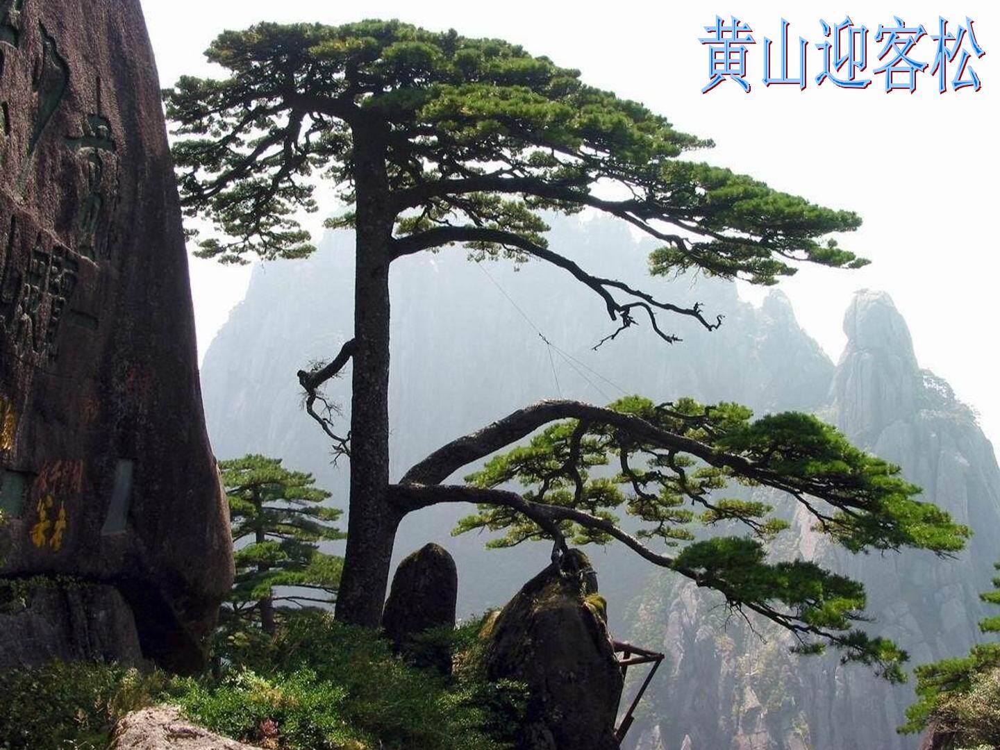 美化装饰小账本