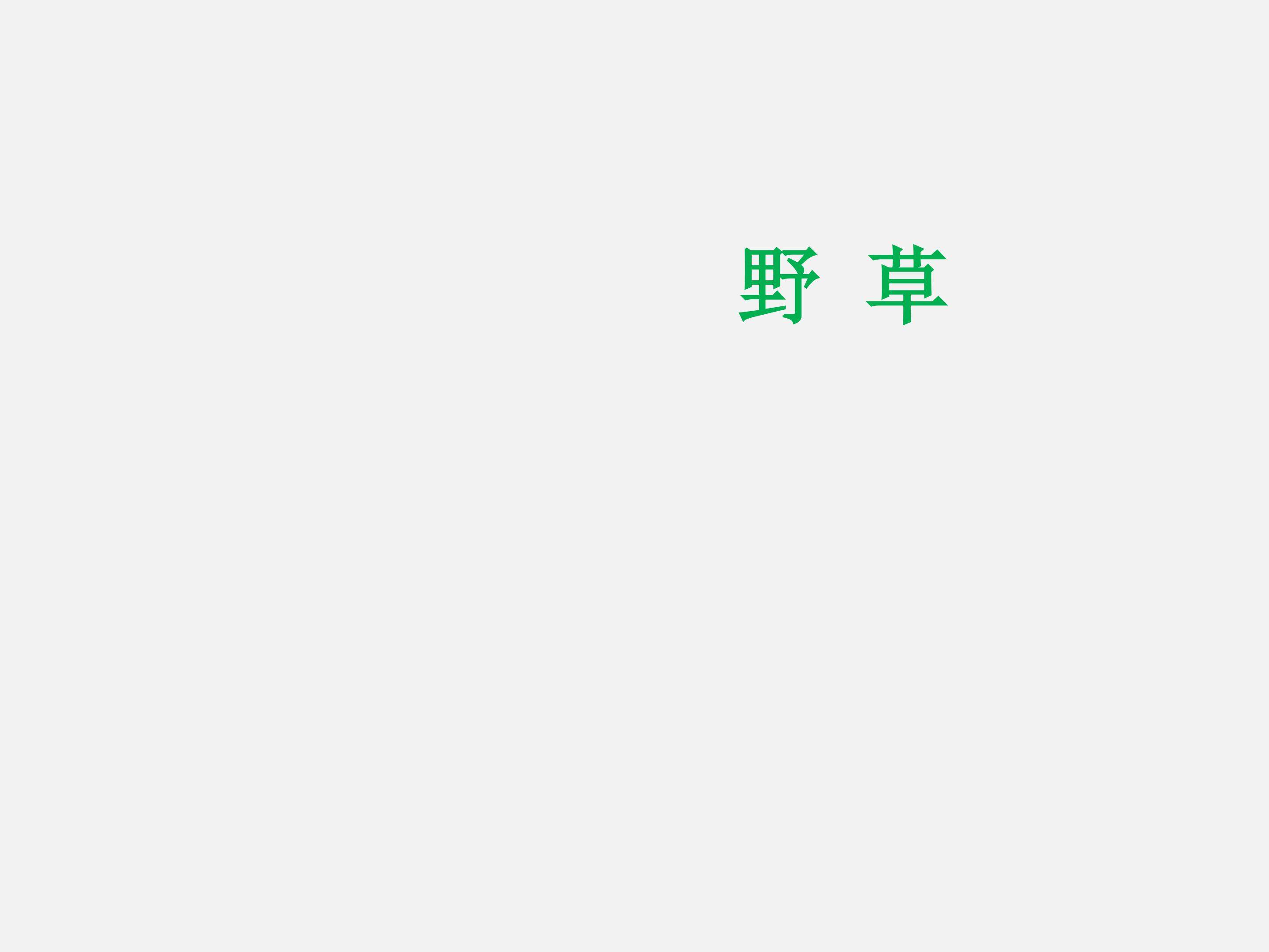 死火_课件2
