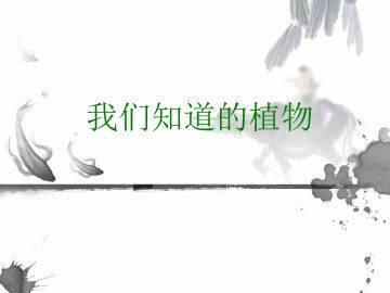1．我们知道的植物