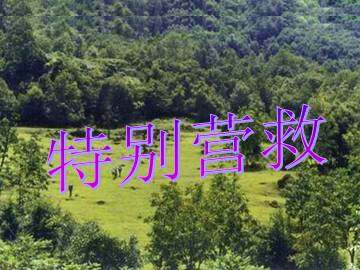 特别营救_课件1