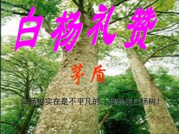 白杨礼赞_课件5