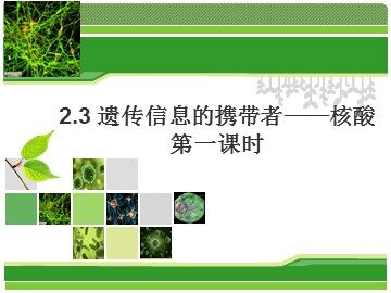 第3节  遗传信息的携带者——核酸