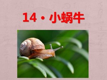 14 小蜗牛