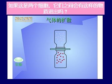 生物高中必修1第四章第一节课件3
