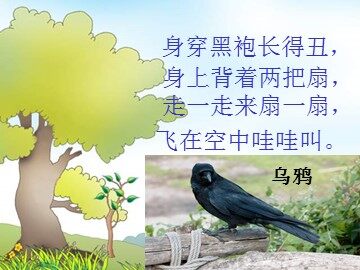 19 乌鸦喝水 