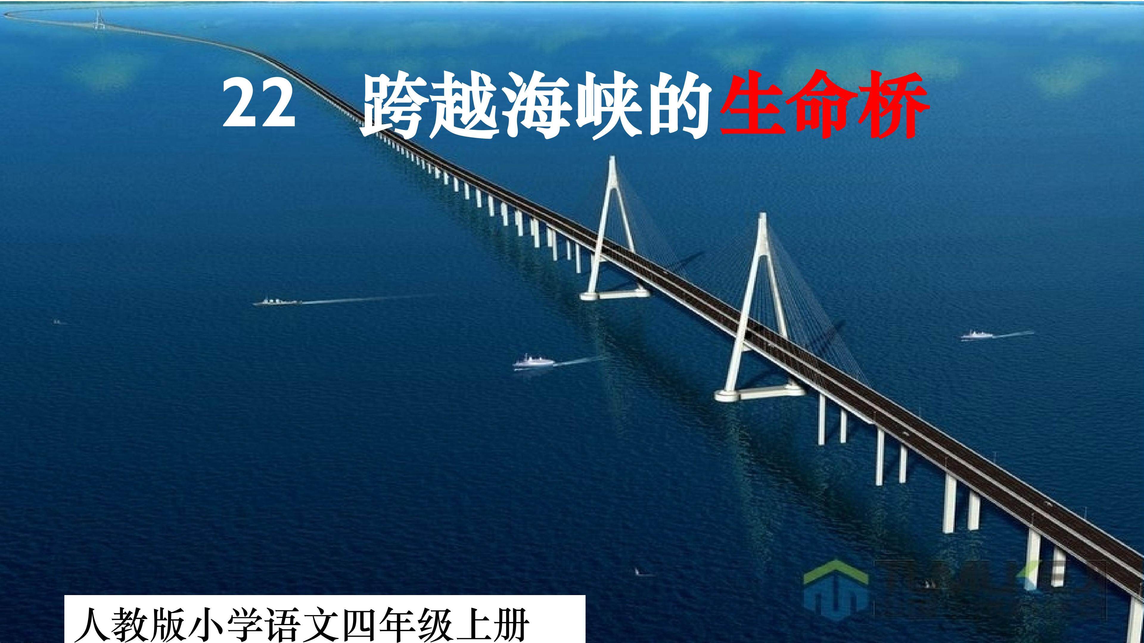 《跨越海峡的生命桥》